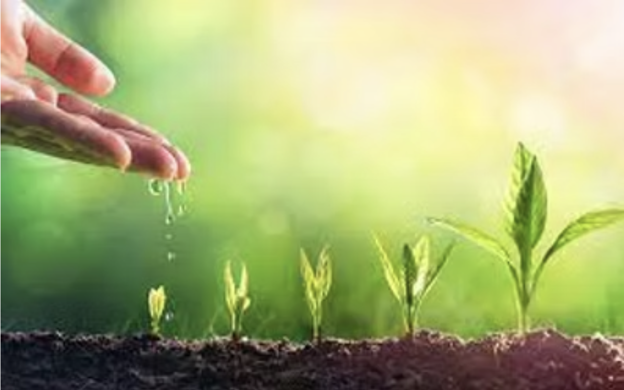 Bien-être et Mieux-être