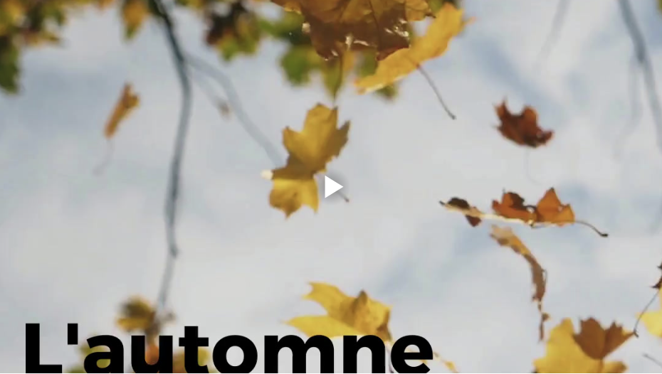 Changement de saison : Soyez les gagnants !